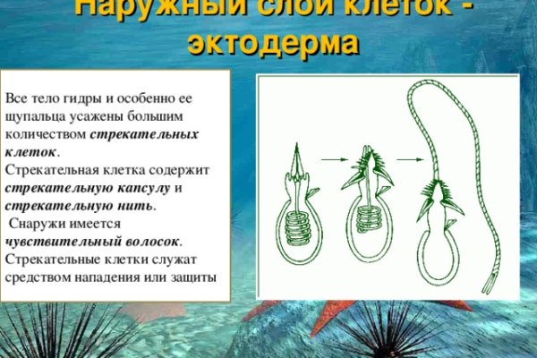 Регистрация на сайте кракен