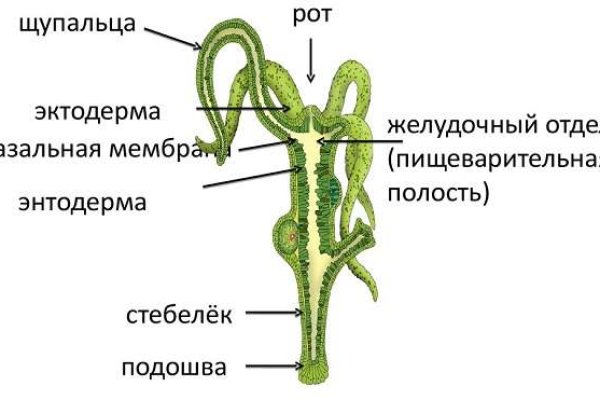 Кракен сыл ссылка